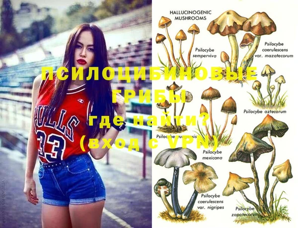 стаф Алексеевка