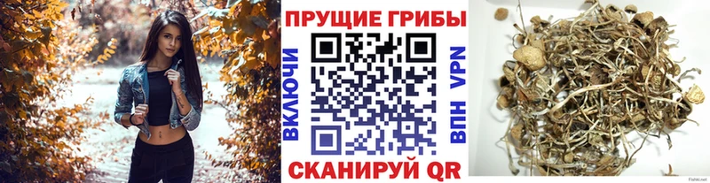 Галлюциногенные грибы прущие грибы  Сим 